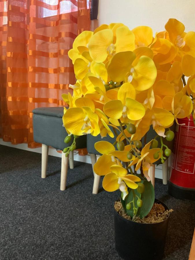 Skogsvikens Hotell Kolmården Eksteriør billede